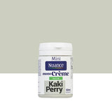 3505391058205 - Testeur peinture MonoCrÃ¨me -