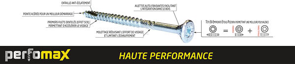 S4012443 - 30 vis agglomÃ©rÃ© tÃªte frais