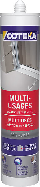 137953 - Mastic multi-usages gris 290ml