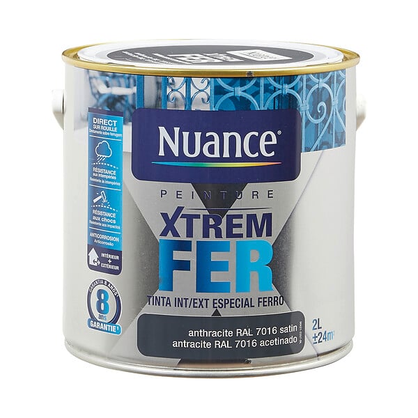 3505390999912 - Peinture XTREM Fer - Anthracit