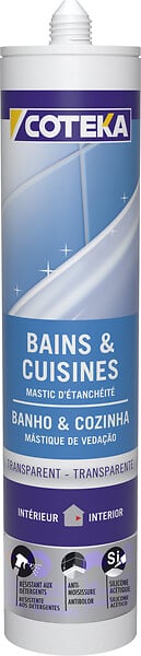 137960 - Mastic silicone transparent 29