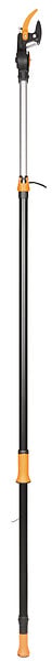1023634 - Coupe branche avec une scie of