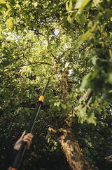 1023634 - Coupe branche avec une scie of