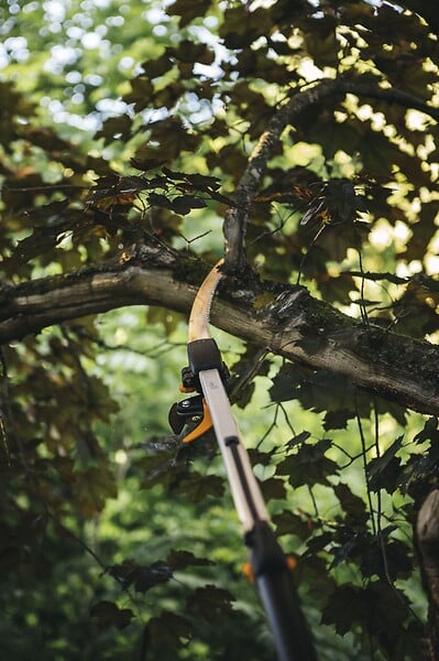 1023634 - Coupe branche avec une scie of