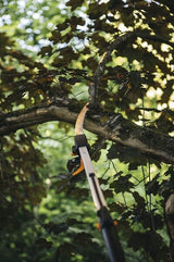 1023634 - Coupe branche avec une scie of