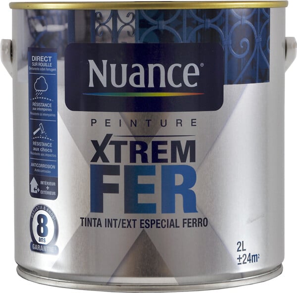 BRM099992 - Peinture XTREM Fer - Gris gran