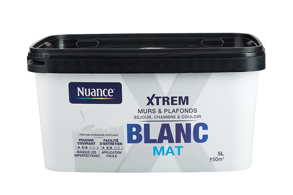H18312-5L - Peinture XTREM - Grand blanc -