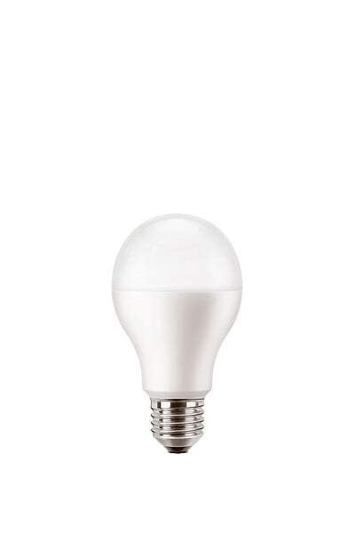 Ampoule LED E27 Globe - Dépolie - Blanc chaud - 2700K - 100W