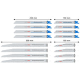 Coffret de lames PRO Tough Box Demolition Bosch Pro - 2607011822